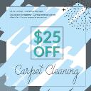 Pearland Carpet Cleaning logo